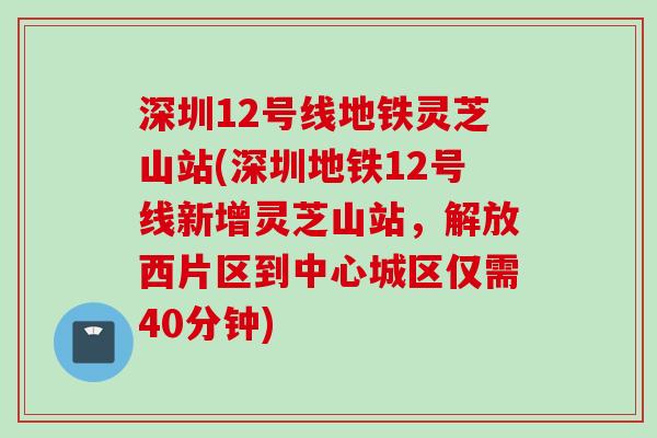 深圳12号线地铁灵芝山站(深圳地铁12号线新增灵芝山站，解放西片区到中心城区仅需40分钟)