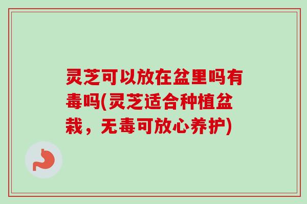 灵芝可以放在盆里吗有毒吗(灵芝适合种植盆栽，无毒可放心养护)