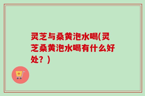 灵芝与桑黄泡水喝(灵芝桑黄泡水喝有什么好处？)