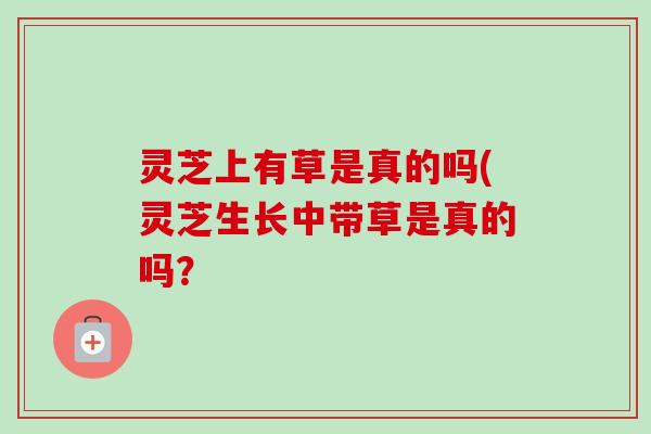 灵芝上有草是真的吗(灵芝生长中带草是真的吗？