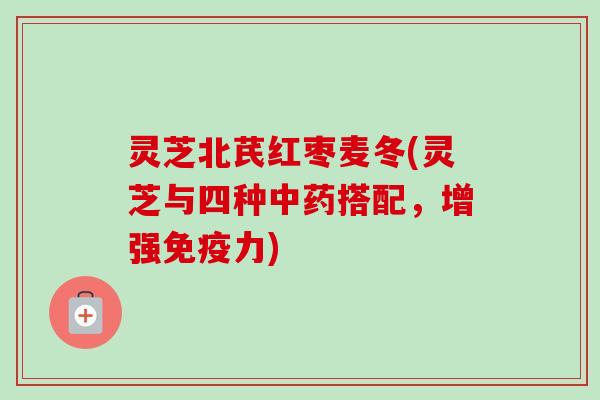 灵芝北芪红枣麦冬(灵芝与四种中药搭配，增强免疫力)