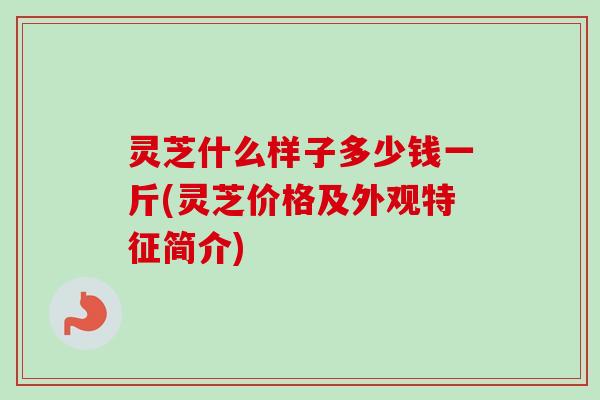 灵芝什么样子多少钱一斤(灵芝价格及外观特征简介)