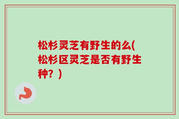 松杉灵芝有野生的么(松杉区灵芝是否有野生种？)