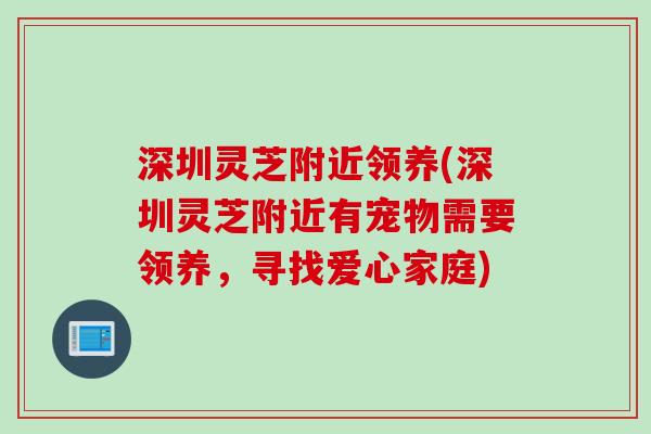 深圳灵芝附近领养(深圳灵芝附近有宠物需要领养，寻找爱心家庭)
