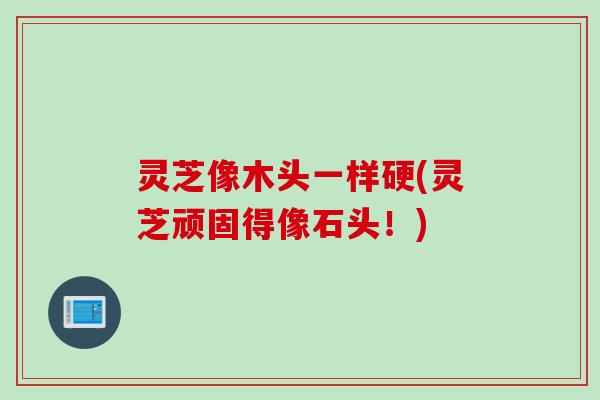 灵芝像木头一样硬(灵芝顽固得像石头！)