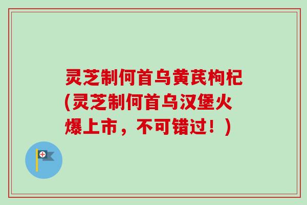 灵芝制何首乌黄芪枸杞(灵芝制何首乌汉堡火爆上市，不可错过！)