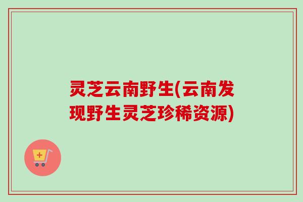 灵芝云南野生(云南发现野生灵芝珍稀资源)