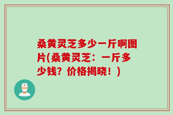 桑黄灵芝多少一斤啊图片(桑黄灵芝：一斤多少钱？价格揭晓！)