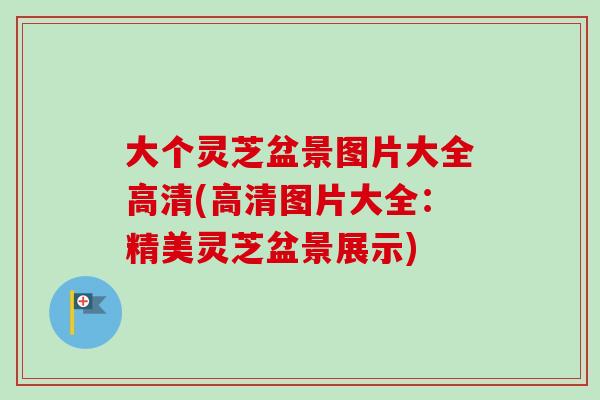 大个灵芝盆景图片大全高清(高清图片大全：精美灵芝盆景展示)