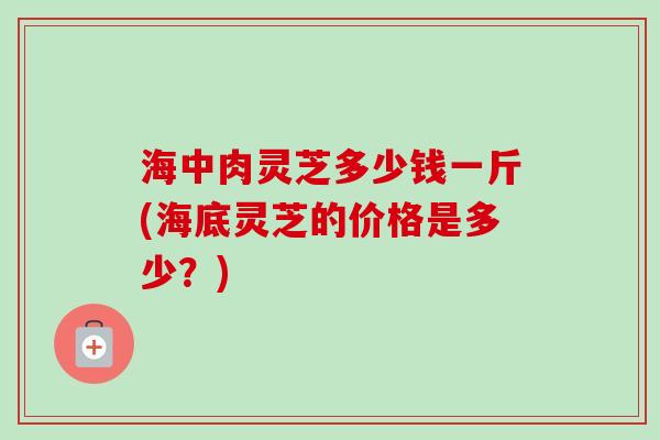 海中肉灵芝多少钱一斤(海底灵芝的价格是多少？)