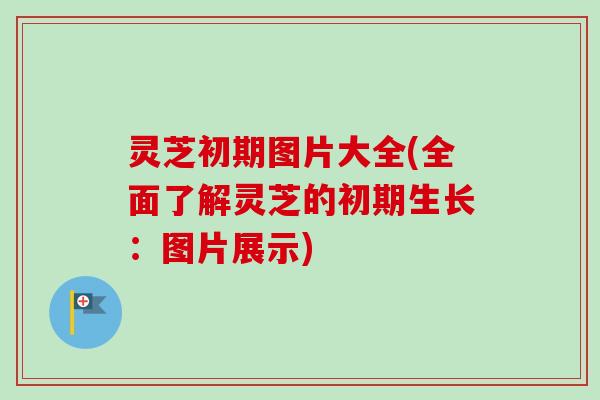 灵芝初期图片大全(全面了解灵芝的初期生长：图片展示)