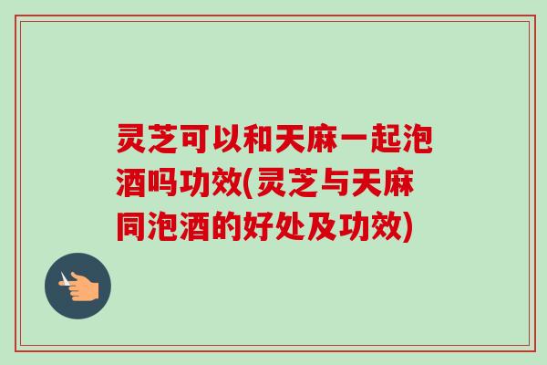 灵芝可以和天麻一起泡酒吗功效(灵芝与天麻同泡酒的好处及功效)