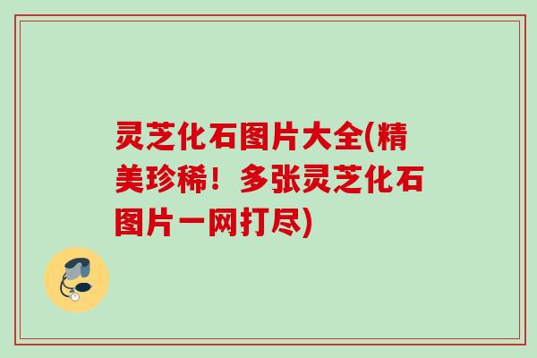 灵芝化石图片大全(精美珍稀！多张灵芝化石图片一网打尽)