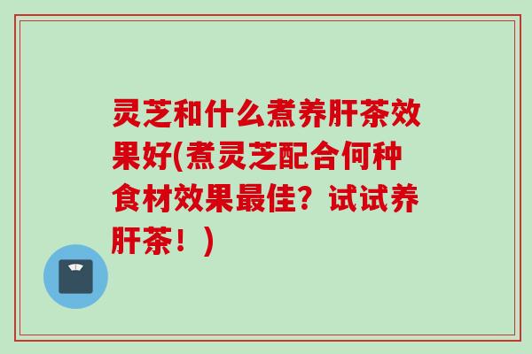 灵芝和什么煮养肝茶效果好(煮灵芝配合何种食材效果最佳？试试养肝茶！)
