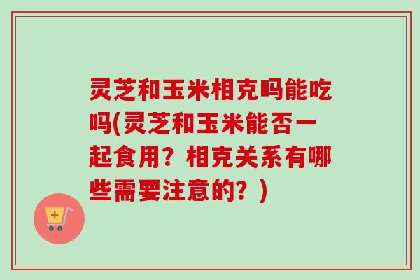 灵芝和玉米相克吗能吃吗(灵芝和玉米能否一起食用？相克关系有哪些需要注意的？)