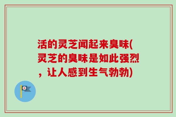 活的灵芝闻起来臭味(灵芝的臭味是如此强烈，让人感到生气勃勃)