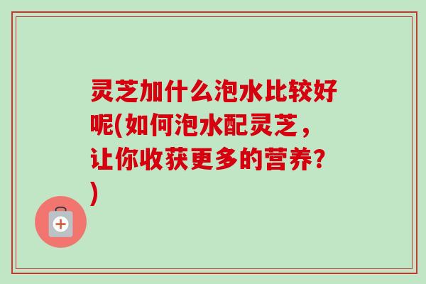 灵芝加什么泡水比较好呢(如何泡水配灵芝，让你收获更多的营养？)