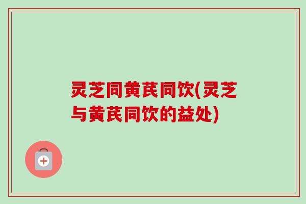 灵芝同黄芪同饮(灵芝与黄芪同饮的益处)