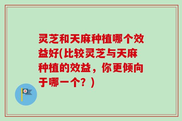灵芝和天麻种植哪个效益好(比较灵芝与天麻种植的效益，你更倾向于哪一个？)