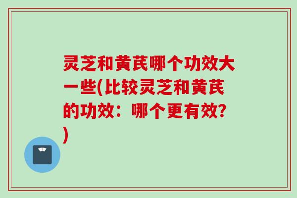 灵芝和黄芪哪个功效大一些(比较灵芝和黄芪的功效：哪个更有效？)