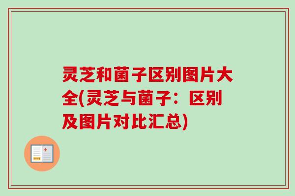 灵芝和菌子区别图片大全(灵芝与菌子：区别及图片对比汇总)