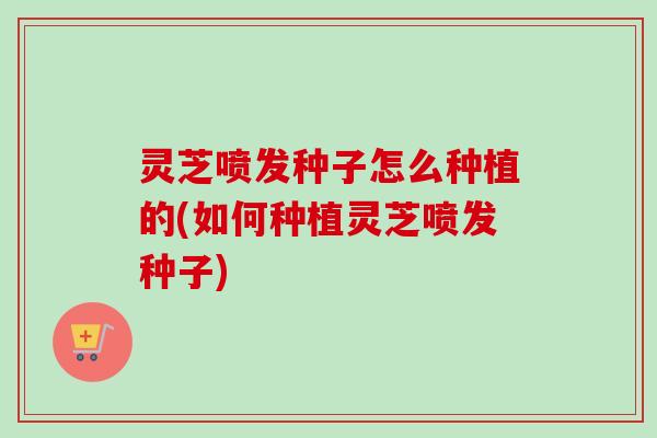 灵芝喷发种子怎么种植的(如何种植灵芝喷发种子)