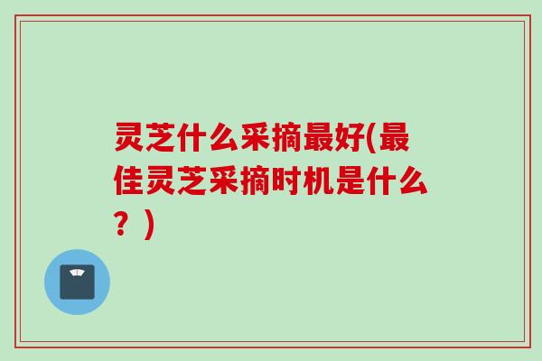 灵芝什么采摘最好(最佳灵芝采摘时机是什么？)