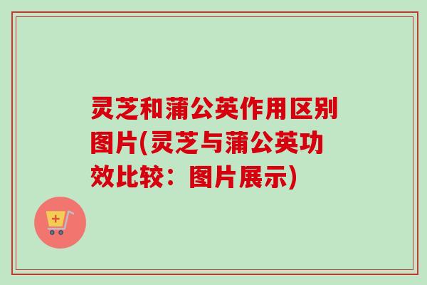 灵芝和蒲公英作用区别图片(灵芝与蒲公英功效比较：图片展示)