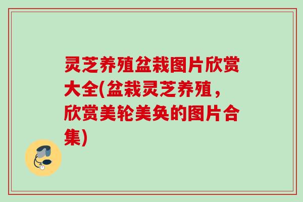 灵芝养殖盆栽图片欣赏大全(盆栽灵芝养殖，欣赏美轮美奂的图片合集)