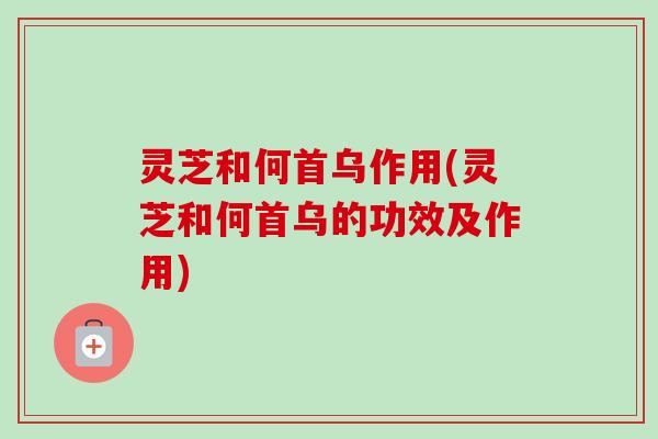 灵芝和何首乌作用(灵芝和何首乌的功效及作用)