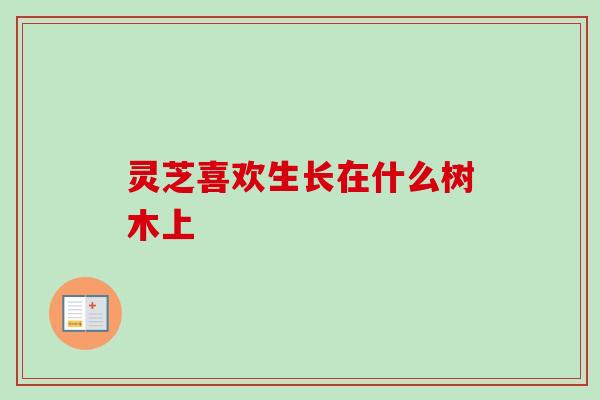 灵芝喜欢生长在什么树木上