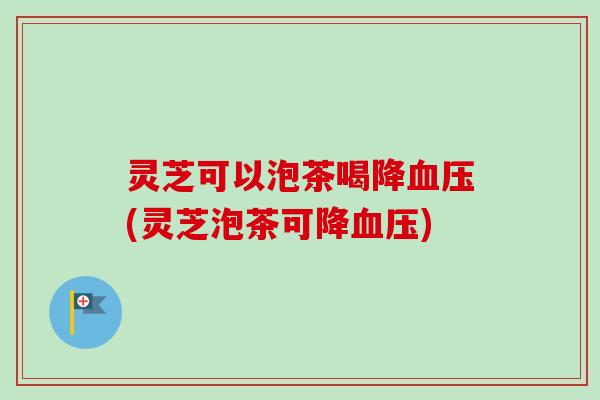 灵芝可以泡茶喝降血压(灵芝泡茶可降血压)