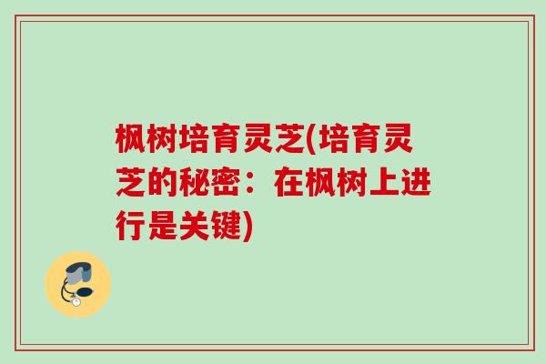 枫树培育灵芝(培育灵芝的秘密：在枫树上进行是关键)