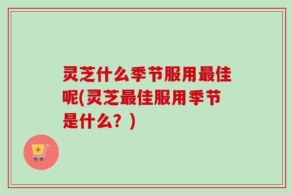 灵芝什么季节服用最佳呢(灵芝最佳服用季节是什么？)