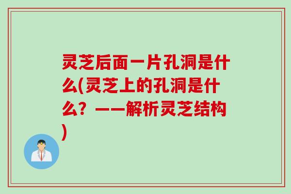 灵芝后面一片孔洞是什么(灵芝上的孔洞是什么？——解析灵芝结构)