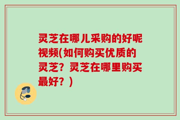 灵芝在哪儿采购的好呢视频(如何购买优质的灵芝？灵芝在哪里购买最好？)