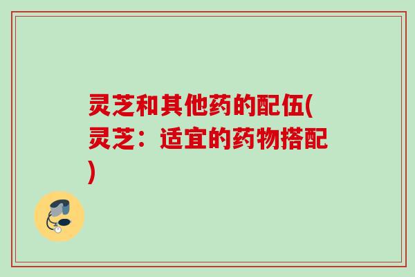 灵芝和其他药的配伍(灵芝：适宜的药物搭配)