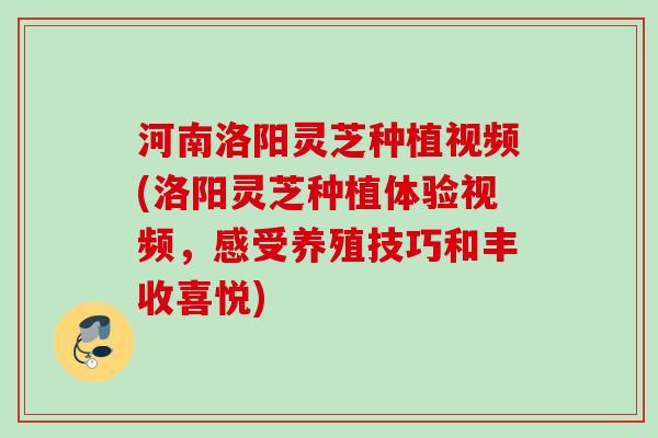 河南洛阳灵芝种植视频(洛阳灵芝种植体验视频，感受养殖技巧和丰收喜悦)