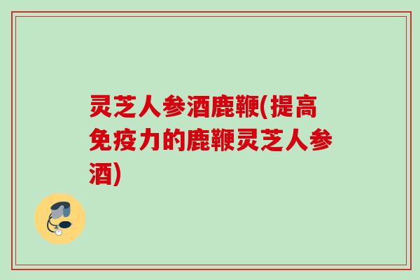 灵芝人参酒鹿鞭(提高免疫力的鹿鞭灵芝人参酒)