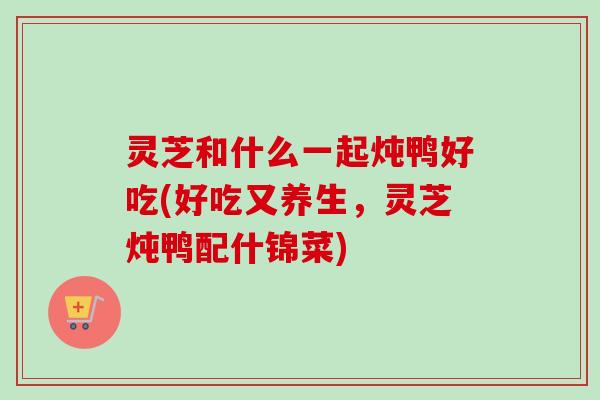 灵芝和什么一起炖鸭好吃(好吃又养生，灵芝炖鸭配什锦菜)