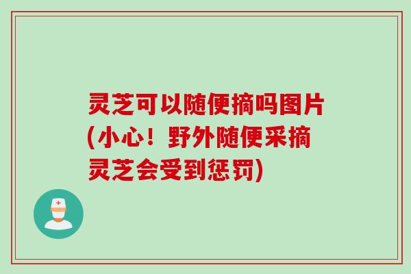 灵芝可以随便摘吗图片(小心！野外随便采摘灵芝会受到惩罚)