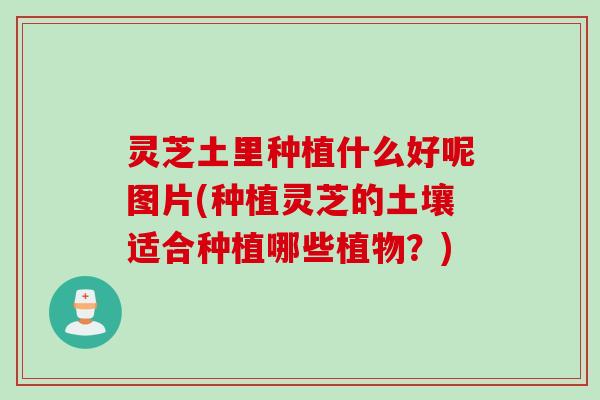 灵芝土里种植什么好呢图片(种植灵芝的土壤适合种植哪些植物？)