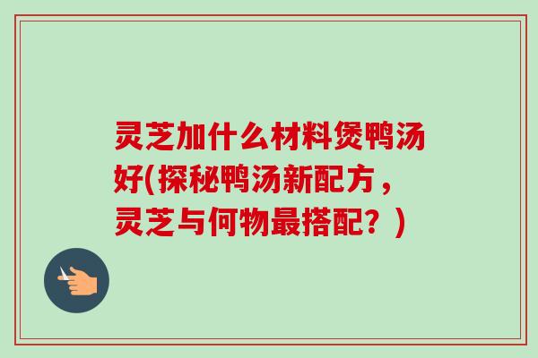 灵芝加什么材料煲鸭汤好(探秘鸭汤新配方，灵芝与何物最搭配？)