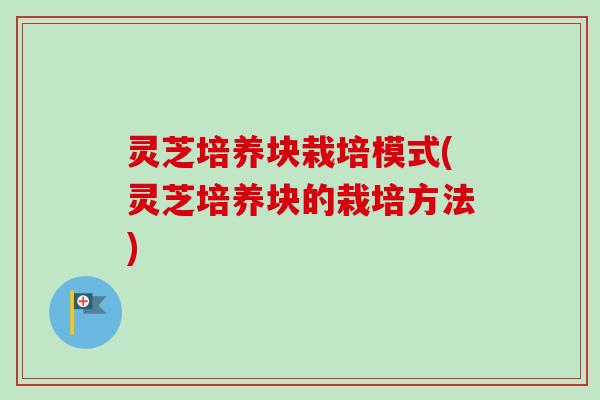 灵芝培养块栽培模式(灵芝培养块的栽培方法)