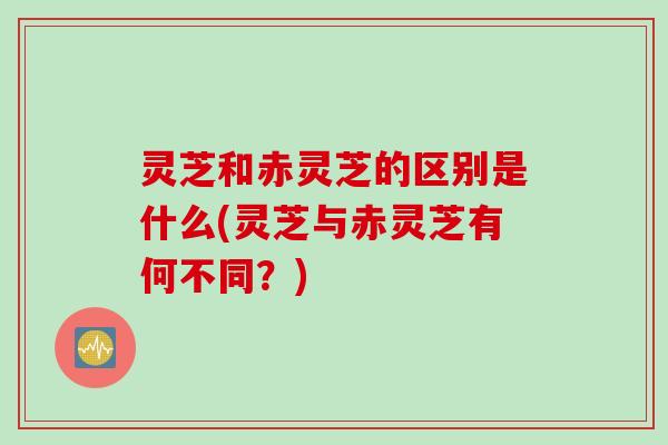 灵芝和赤灵芝的区别是什么(灵芝与赤灵芝有何不同？)