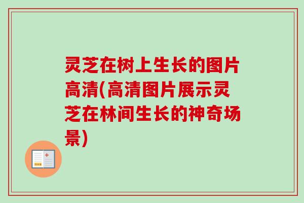 灵芝在树上生长的图片高清(高清图片展示灵芝在林间生长的神奇场景)