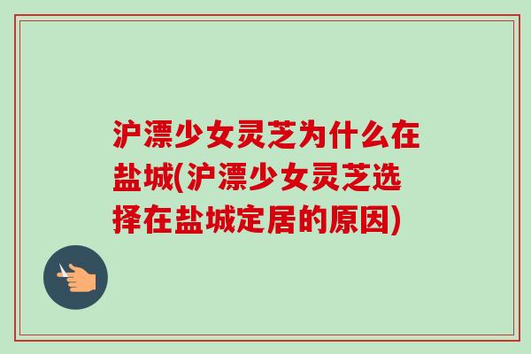 沪漂少女灵芝为什么在盐城(沪漂少女灵芝选择在盐城定居的原因)