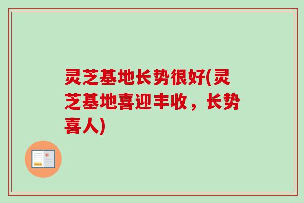 灵芝基地长势很好(灵芝基地喜迎丰收，长势喜人)