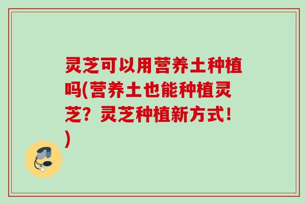 灵芝可以用营养土种植吗(营养土也能种植灵芝？灵芝种植新方式！)