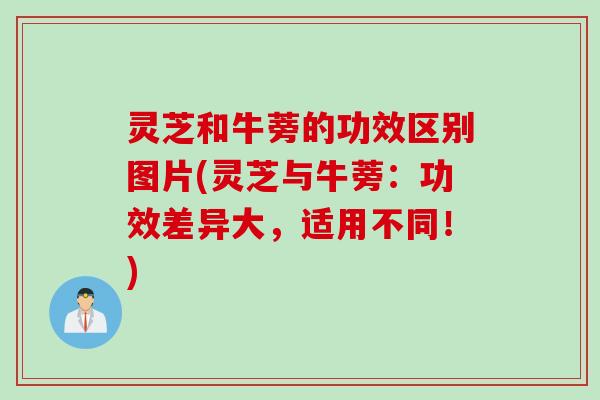灵芝和牛蒡的功效区别图片(灵芝与牛蒡：功效差异大，适用不同！)